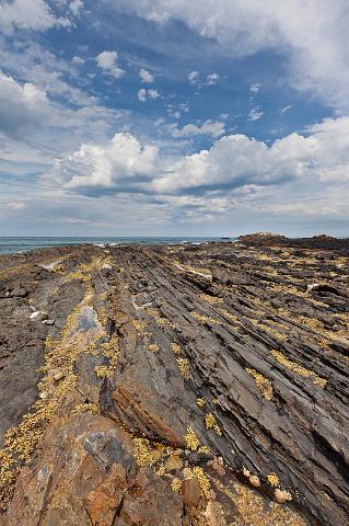 276 Mimosa Rocks NP.jpg
